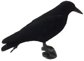 UKSW lockfågel svart kråka med Flock Hel kråka lockfågel med Flock-belägg