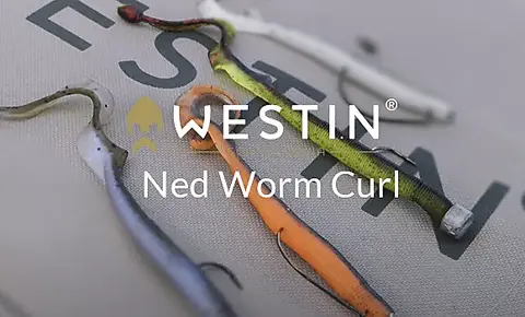 Westin Ned Worm Curl