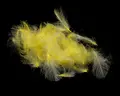 Flydressing peremium CDC Pale Yellow Högkvalitativ CDC i naturliga färger