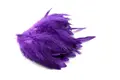 Wapsi Schlappen Short Purple Kvalitetsfjädrar för flugbindning