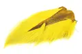 Wapsi Bucktail Medium Yellow Wapsi bucktail