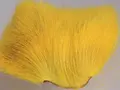 Wapsi Deer Belly Hair yellow Rådjurshår