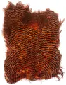 Softhackle patch Grizzly Burnt Orange Supermjuka hackles
