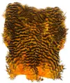 Softhackle patch Grizzly Golden Orange Supermjuka hackles