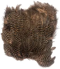 Softhackle patch Grizzly Tan Supermjuka hackles