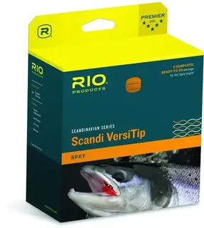 Rio Scandi VersiSpets #10 650gr/42g Flyt med 4 spetsar