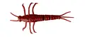 Savage Gear LB 3D PVC Mayfly 5cm Red, 8st