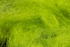 Semperfli Sparkle Dubbing Green Olive Dubbing