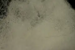 Semperfli Sparkle Dubbing White Dubbing