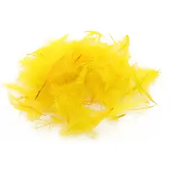 Swiss CDC Standard Safran Yellow Stora fjädrar