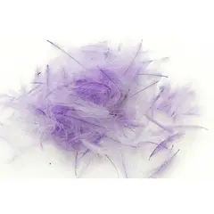 Swiss CDC Standard Violet Stora fjädrar
