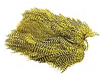Softhackle patch Grizzly Olive Supermjuka hackles