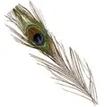 Peacock Eye Tops - Natural Grundmaterial