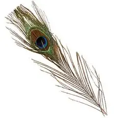 Peacock Eyes - Orange Grundmaterial