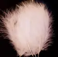 Marabou - White Stora fjädrar