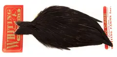 Whiting Hen Cape Black
