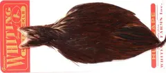 Whiting Hen Cape - Brown