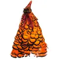 Amherst Pheasant Head No.2 - Dyed Orange Diamantfasan komplett huvud