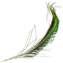 Peacock Swords Påfågelsvärd från Veniard